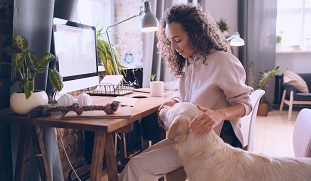 Veilig (online) betalen